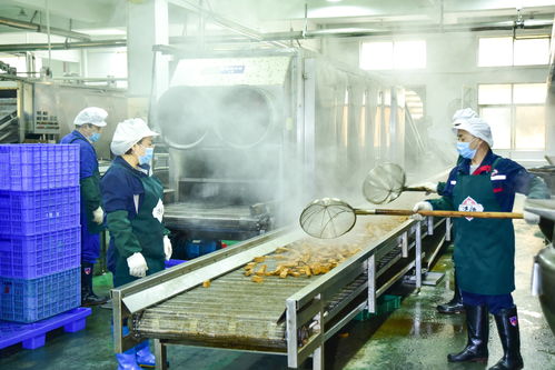 法新豆业 2021年中国豆制品行业50强